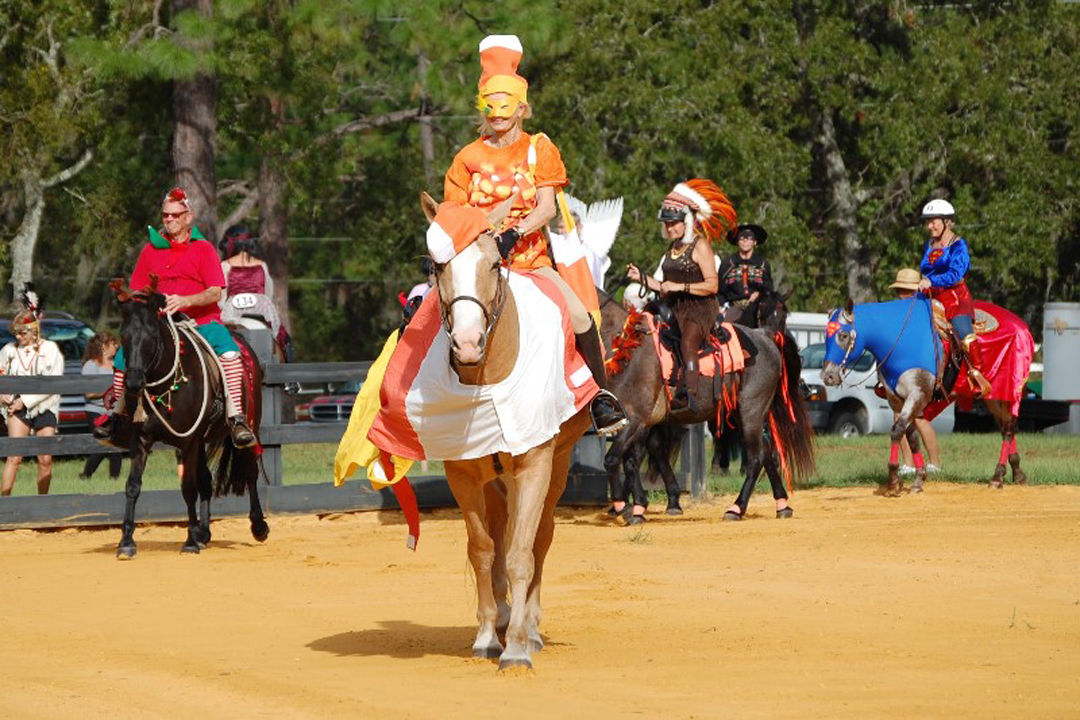 Pine Ridge equestrian show 4